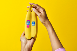 Chiquita