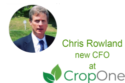 chrisrowland cropone cfo-1.png