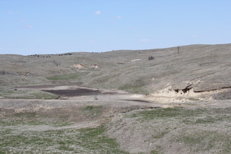 Drought pasture