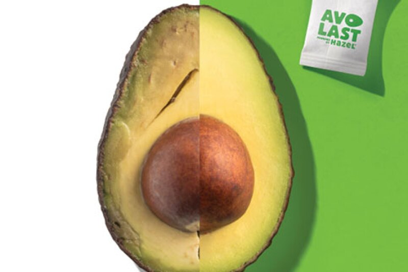 Mission Produce Inc. is using AvoLast Powered by Hazel to extend the shelf life of avocados by several days, says Patrick Cortes, Mission’s senior director of business development.
