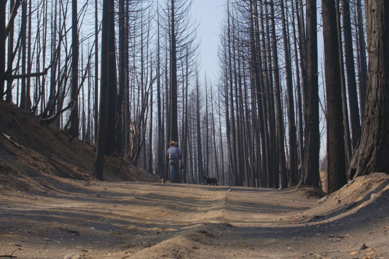 CA fires