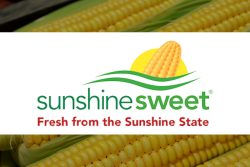 sunshine-sweet.png