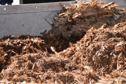 As swine producers hit hard by COVID-19 grapple with the last-resort decision of depopulation, Nebraska Extension is stepping up to help producers who are facing this challenge. 