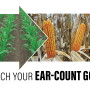 Take these 5 steps to hit new highs in corn yields.