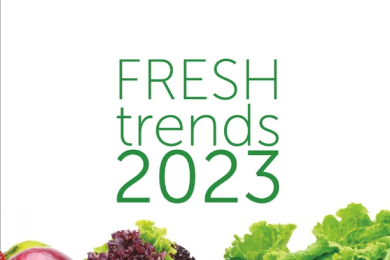 Cover of 2023 Fresh Trends Magazine