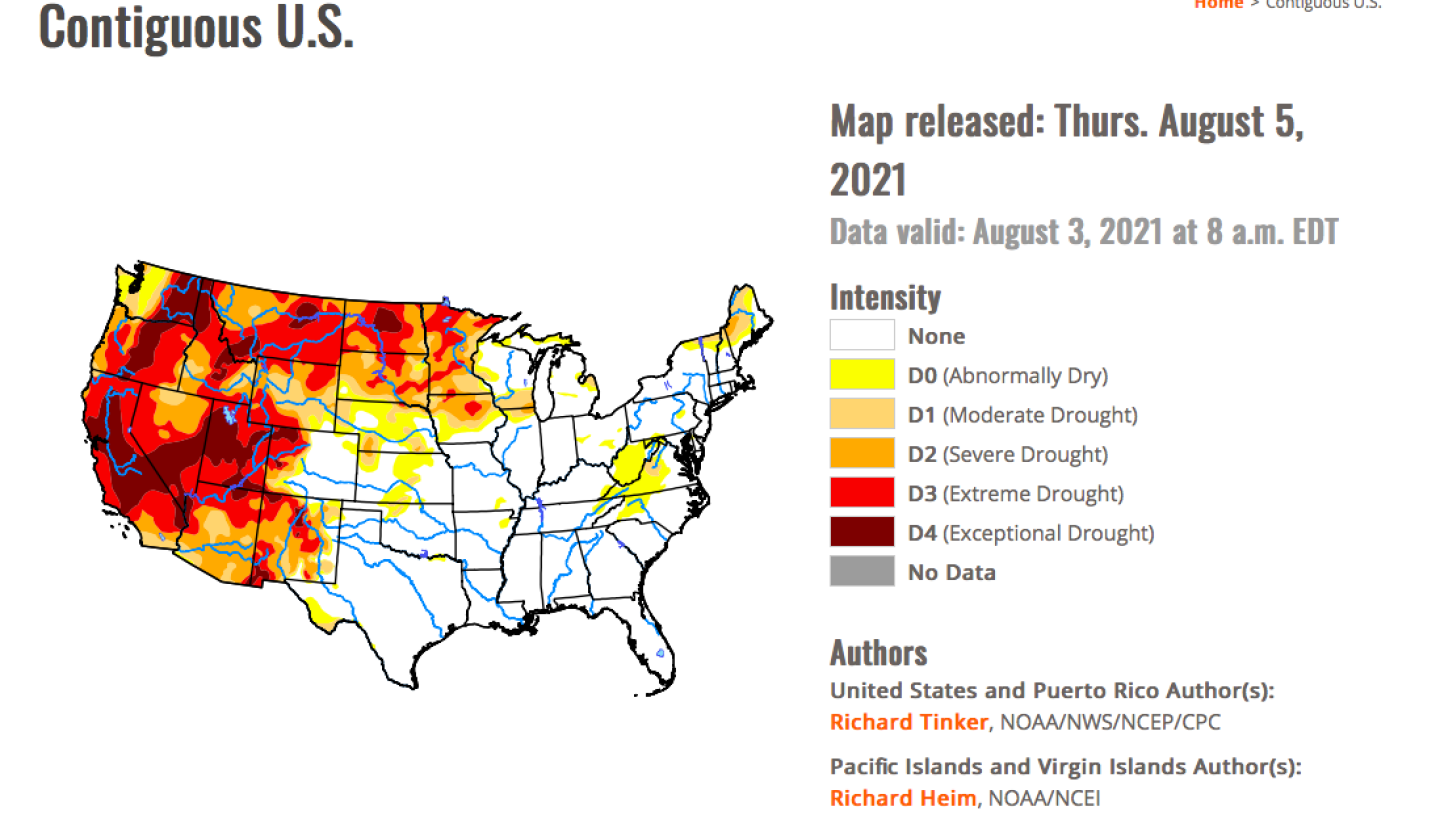 Screen%20Shot%202021-08-09%20at%2012.13.41%20PM.png