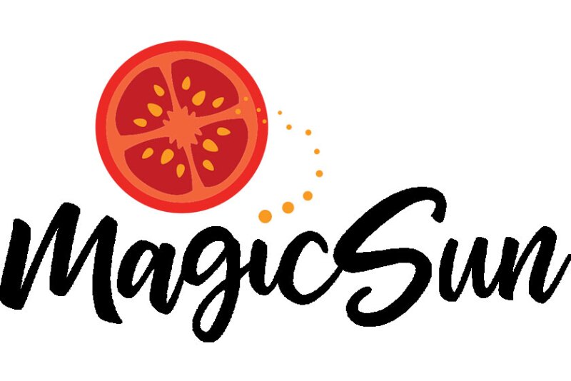 MagicSunLogo-white.jpg