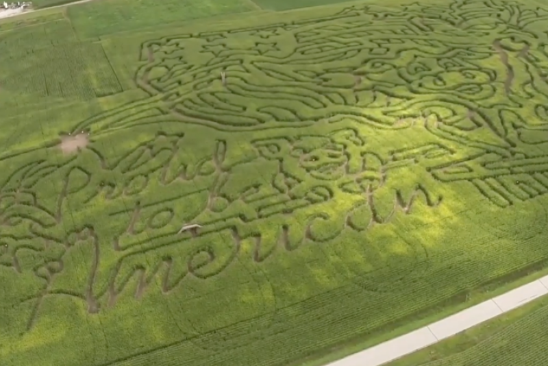 Corn maze at Diary View Country Store.