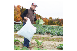 New Jersey Secretary of Agriculture Douglas Fisher at a gleaning event.