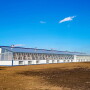 202403-chs-greenhouse_1 WEB.jpg