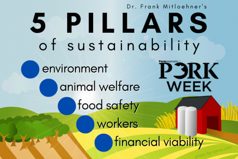 Sustainability - Mitloehner