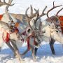 Santa Reindeer Christmas