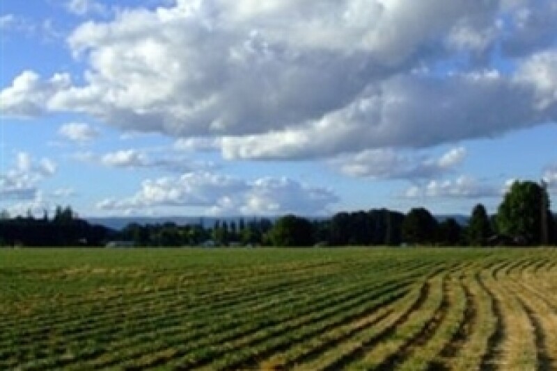 farm land
