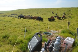 solar_fence_charger_Wyatt_Bechtel
