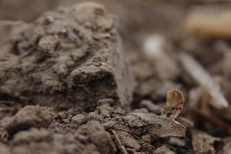 nebraska-soil-close