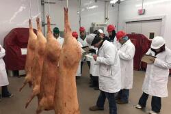 Meats judging