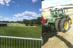 Bohnert chopping rye