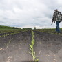 How can we make farmers’ social support systems stronger during this time of intense economic pressure?