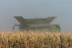 Spurlock_Farms