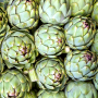 artichokes