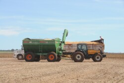 trucks in Brazil