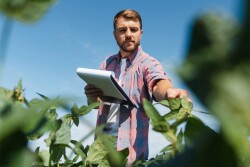 Crop Protection