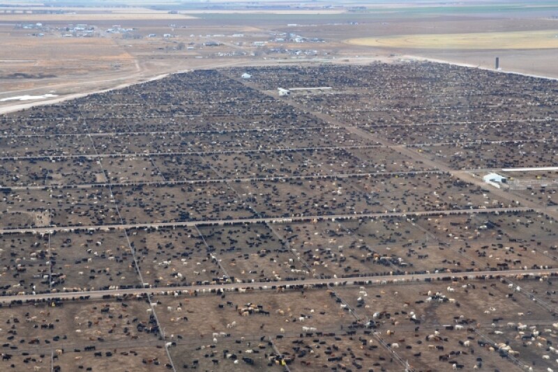 BT_Airplane_View_Feedlot