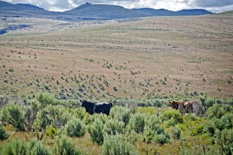 Maggie_Creek_Ranch_Nevada