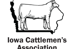 Iowa cattlemen