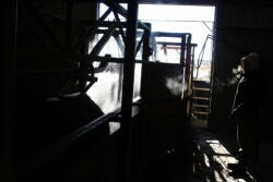 Bovine veterinarians often work long hours in challenging outdoor conditions.