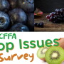 CFFA Top Issues Survey