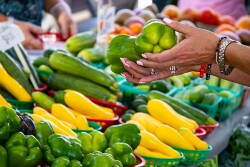 A pair of hands holding peppers at a farmers market stand.