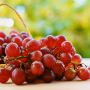 A bunch of red grapes resting on a table, with a basket of more grapes in the background.