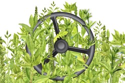 Driver Weeds