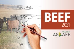 Beef outlook