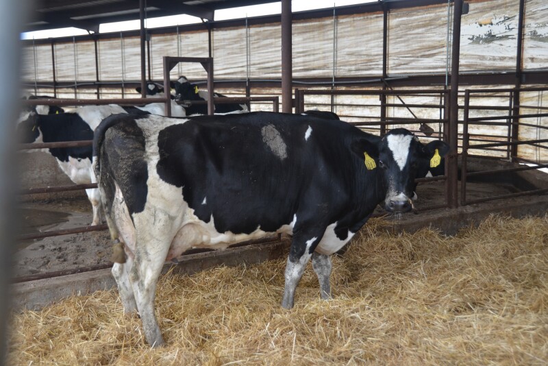 "There's been a crazy amount of technology added to farming," said Dana Allen-Tully, a manager and operator of the multigenerational Gar-Lin Dairy Farms Inc. 