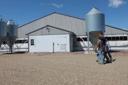 Pig Farmers walking by barn