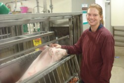 Swine Nutrition Farm - Iowa State
