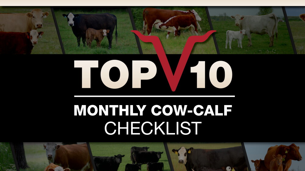 Revised Cow Understanding Beef By-Product Values