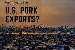 Pork Exports