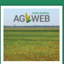 Crop Comments
