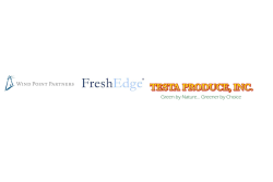 testa fresh edge