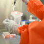 Currently, the USDA, which has prescribed vaccination for dealing with an FMD outbreak, does not have access to enough vaccine should an outbreak occur.