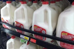 Some the historical cycles and seasonal price movements are not being followed as they have in the past. We have seen higher milk prices during times of the year when historically they were low points of the year. We have seen low prices when seasonally they should be high points. The bottom line is supply and demand. 