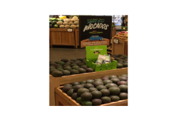 E824569B-DD84-4AE3-B0A0D13FB774F4D1.png