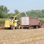 Silage_Harvest