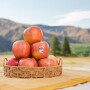 cmi orchards