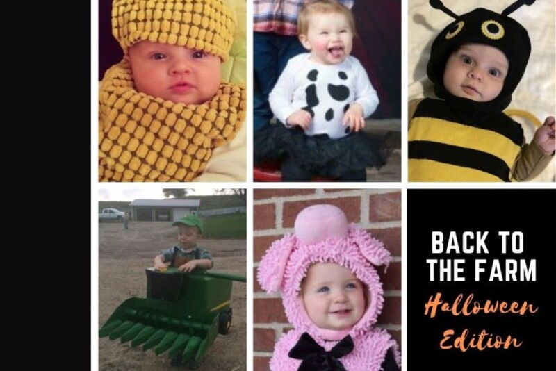 Halloween Costumes 2023