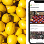 Salix fruits.png