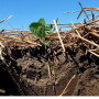 To combat volatile weather, mitigate rising input costs and meet agronomic goals, producers are making choices geared toward soil health.